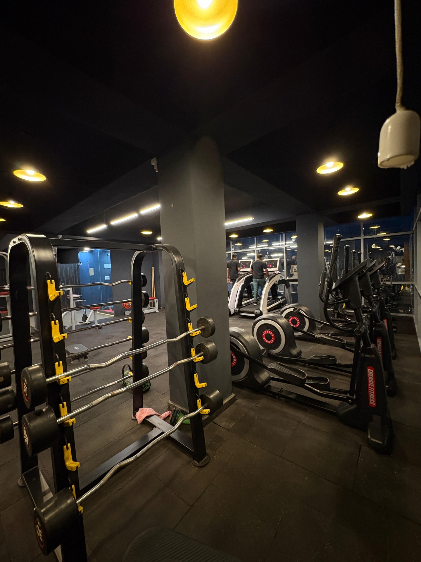 Heavy steel dumbbell rack