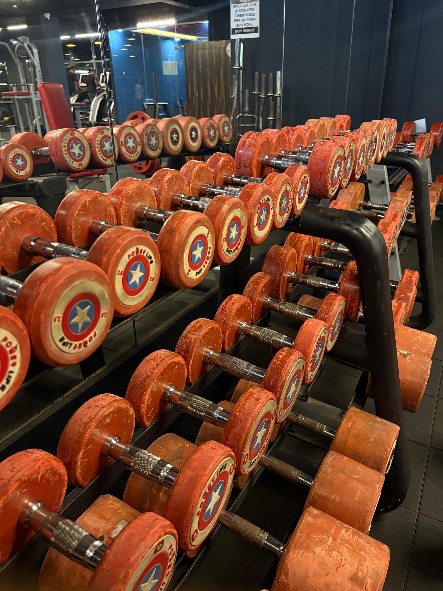Captain America dumbbell rack at BVD Fitness